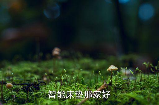 智能床墊哪個牌子好，智能電動床墊有哪些品牌比較好