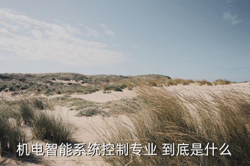 智能控制技術(shù)專(zhuān)業(yè)是干什么的，機(jī)電智能系統(tǒng)控制專(zhuān)業(yè) 到底是什么