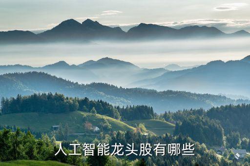 人工智能概念股龍頭股票有哪些，人工智能龍頭股有哪些