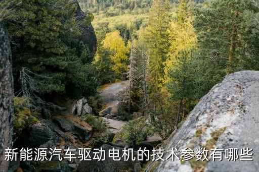 新能源汽車驅(qū)動(dòng)電機(jī)的技術(shù)參數(shù)有哪些