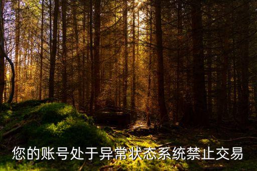 您的賬號(hào)處于異常狀態(tài)系統(tǒng)禁止交易