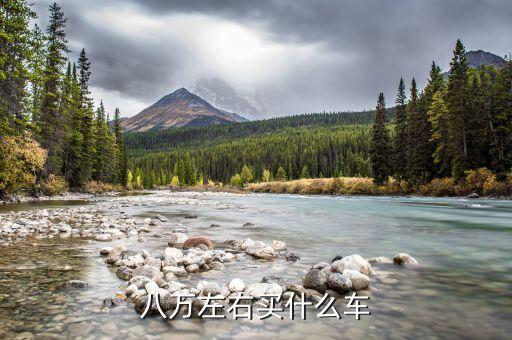 八萬(wàn)左右買(mǎi)什么車(chē)