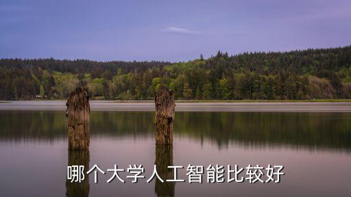哪所學校人工智能專業(yè)最好，哪個大學人工智能比較好