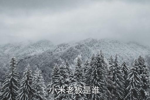 小米現(xiàn)任董事長簡介，小米董事長雷軍哪里人