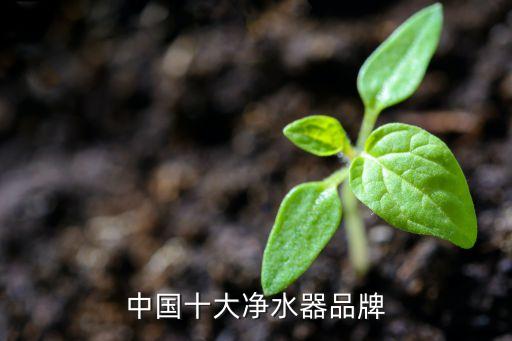 凈水器十大排名國(guó)內(nèi)品牌，全國(guó)十大凈水器排名
