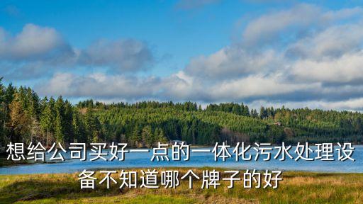 一體化污水處理成套設備品牌，國內(nèi)有幾家一體化污水處理設備啊 哪家口碑比較好啊
