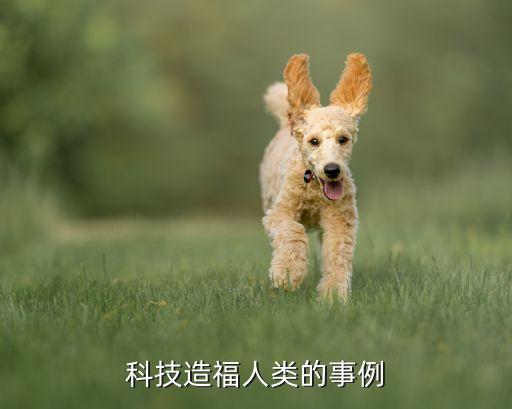 中國科技人物事跡素材，中國科技事例