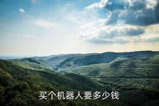 一個機器人大概多少錢，一個機器人多少錢