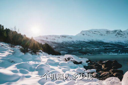 一個機(jī)器人多少錢