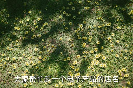 好聽的電子產(chǎn)品店名字大全，取店名關(guān)于電子的