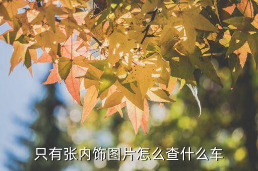掃一掃內飾識別車，汽車內飾識別看看是什么車