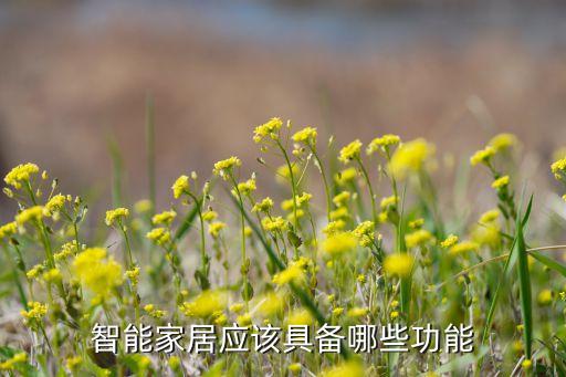 智能家居都有哪些功能，智能家居應(yīng)該具備哪些功能