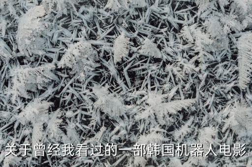 關于曾經(jīng)我看過的一部韓國機器人電影