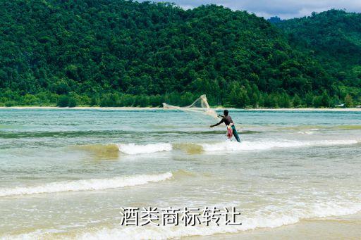33類白酒商標(biāo)轉(zhuǎn)讓，酒類商標(biāo)轉(zhuǎn)讓