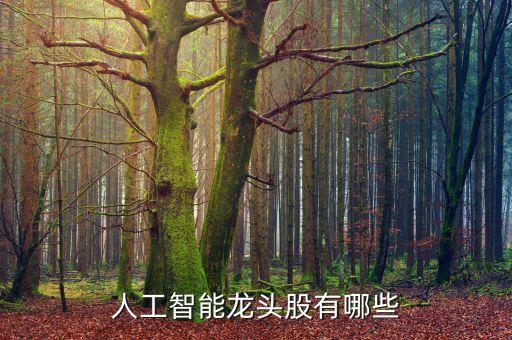 人工智能股票龍頭排名榜前十名，人工智能方面的股票名字有哪些