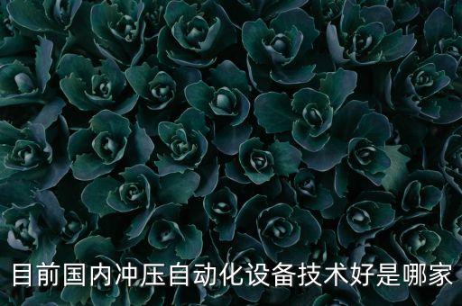 目前國內(nèi)沖壓自動化設備技術(shù)好是哪家