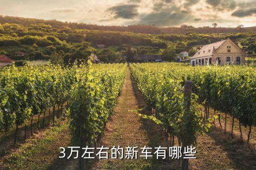 3萬左右的新車有哪些
