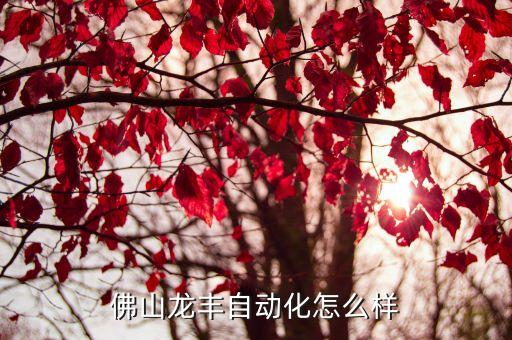 龍豐自動化培訓學校怎么樣收費，佛山市禪城區(qū)龍豐自動化培訓怎么樣