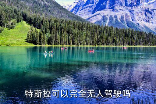 特斯拉都有自動駕駛嗎，中國允許特斯拉汽車開自動駕駛嗎