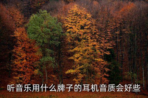 十大公認(rèn)音質(zhì)好的有線耳機(jī)，介紹幾款有線耳機(jī)非頭戴式音效要好的