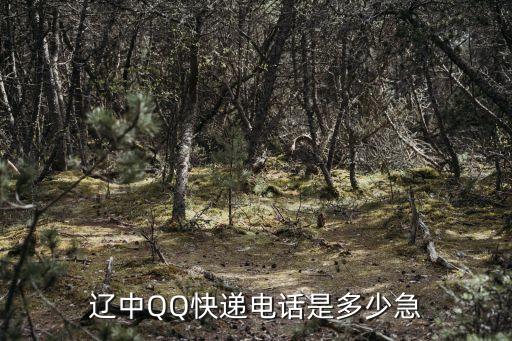 遼中哆來(lái)咪電話，遼中QQ快遞電話是多少急