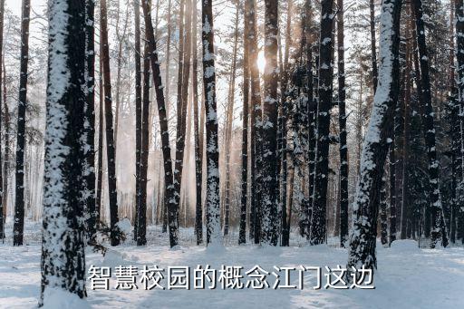 學(xué)校智慧校園，智慧校園的概念江門這邊