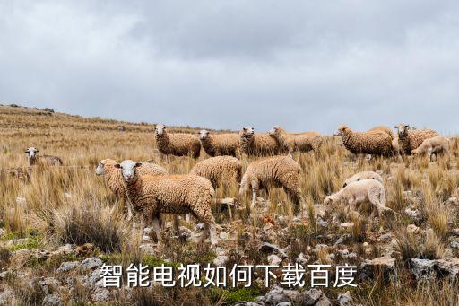 智能百度百科下載，百度百科如何下載