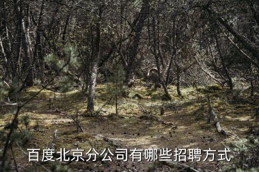 百度北京分公司有哪些招聘方式