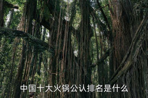 中國十大火鍋公認(rèn)排名是什么