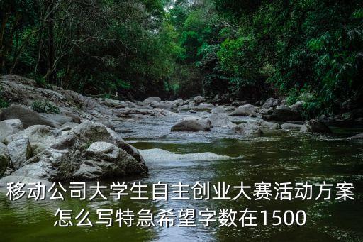 互聯(lián)網(wǎng)創(chuàng)新創(chuàng)業(yè)大賽計劃書，第二節(jié)互聯(lián)網(wǎng)創(chuàng)新創(chuàng)業(yè)大賽的計劃書格式有嗎