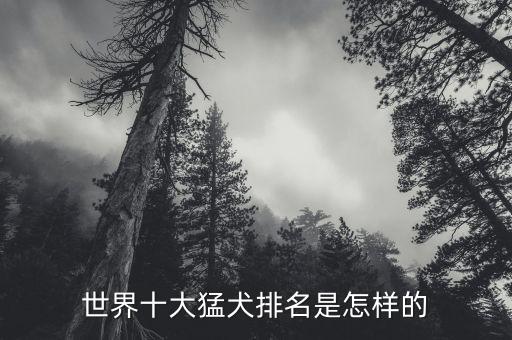 全球自動(dòng)駕駛技術(shù)排名前十，中國(guó)十大火鍋公認(rèn)排名是什么
