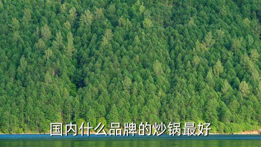 炒菜鍋哪個(gè)牌子好用鋁合金，炒鍋買什么鍋好什么牌子的好