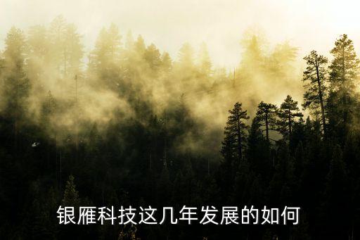科技賦能業(yè)務(wù)發(fā)展情況，科技是配合業(yè)務(wù)發(fā)展還是引領(lǐng)業(yè)務(wù)發(fā)展