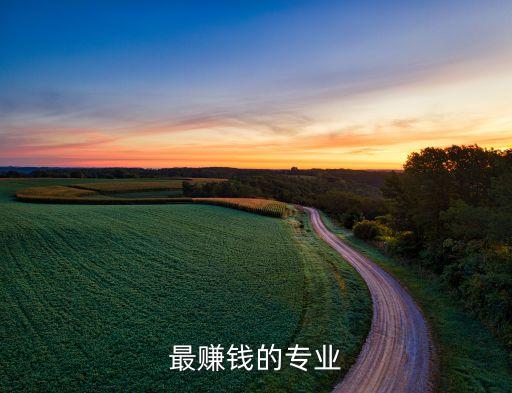 掙錢最多的專業(yè)，哪個(gè)專業(yè)賺錢最多