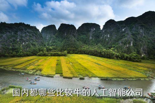 人工智能最牛的公司，國內(nèi)都哪些比較牛的人工智能公司
