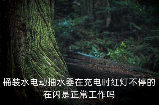 桶裝水自動(dòng)抽水器，不想買飲水機(jī)有沒有能直接從桶裝水里抽水喝的設(shè)備