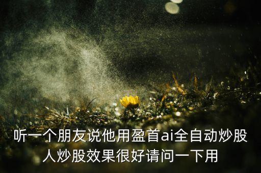 聽一個朋友說他用盈首ai全自動炒股人炒股效果很好請問一下用