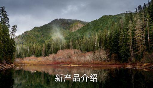 我國2021年發(fā)布的科技新品，工業(yè)互聯(lián)網(wǎng)平臺白皮書 2021平臺價值篇重點解讀