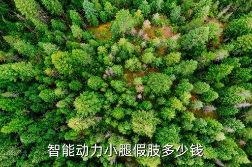 仿生智能假肢手臂價格，進口智能假肢多少錢教師張莉麗用的