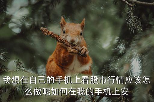 我想在自己的手機(jī)上看股市行情應(yīng)該怎么做呢如何在我的手機(jī)上安