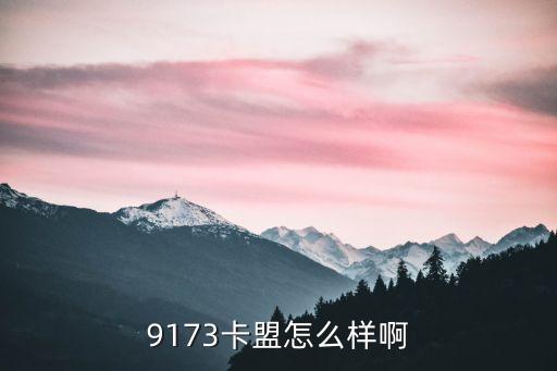 9173卡盟平臺(tái)，2014年卡盟排行榜最好的9173卡盟