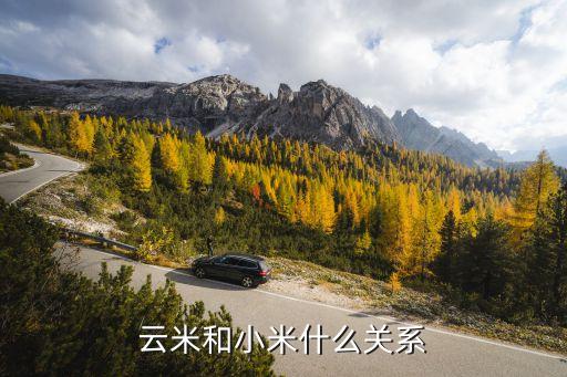 云米智能即熱飲水機說明書，即熱式飲水機怎么用還有童鎖怎么解開 牌子是沒凈康的