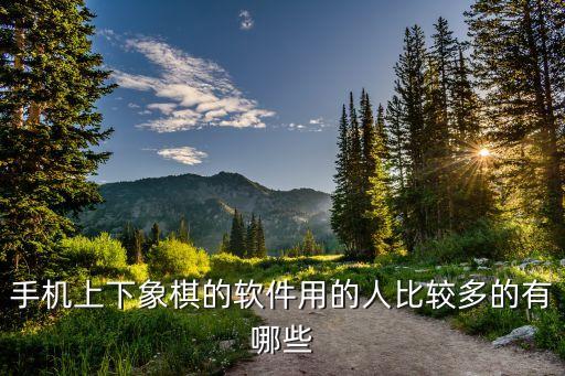 ai人工智能象棋軟件，中國(guó)象棋的人工智能算法實(shí)現(xiàn)用神經(jīng)網(wǎng)絡(luò)來(lái)做可以嗎