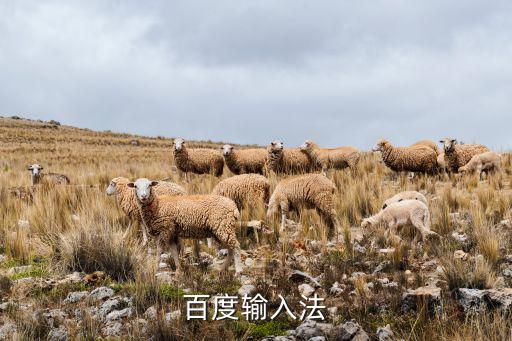 百度輸入法