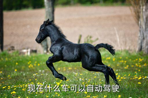 全自動駕駛汽車車型，全自動車型有什么品牌