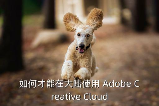 如何在國(guó)內(nèi)使用Openai，如何在大陸使用Google