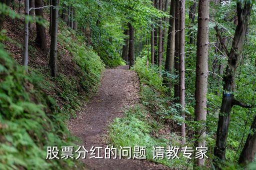 股票分紅的問題 請(qǐng)教專家