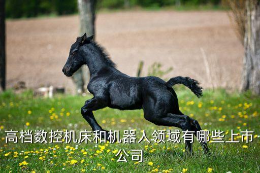 中國十大機器人上市公司，高檔數(shù)控機床和機器人領(lǐng)域有哪些上市公司