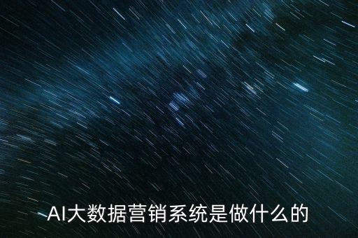 AI大數(shù)據(jù)營(yíng)銷(xiāo)系統(tǒng)是做什么的