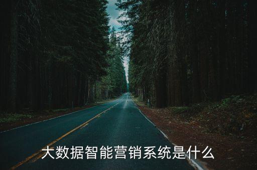 大數(shù)據(jù)智能營(yíng)銷(xiāo)系統(tǒng)是什么
